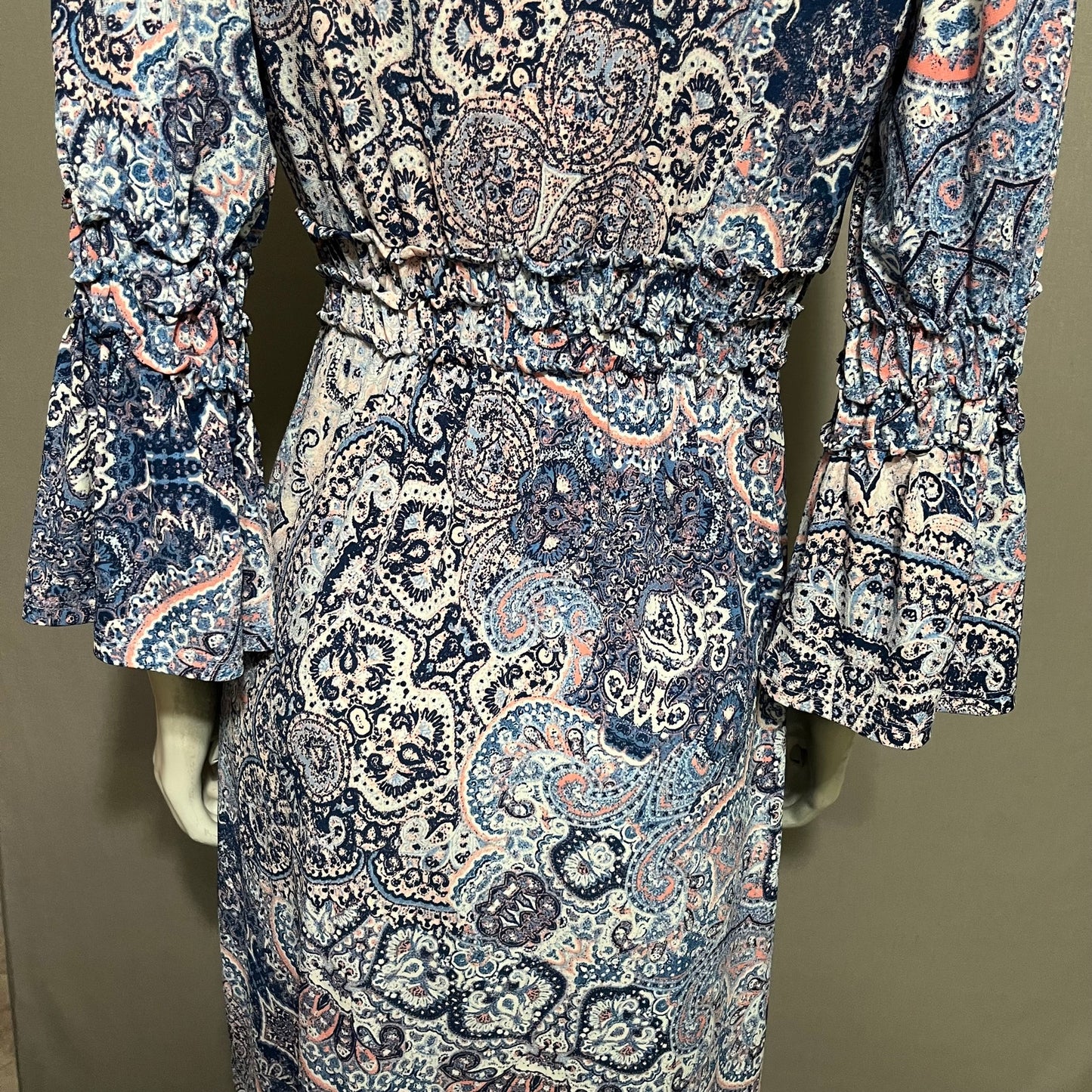Boston Proper Blue & Pink Paisley Fit N Flare Dress Sz-Xtra Small