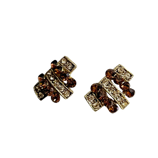 Elegant Brown and Gold Earrings