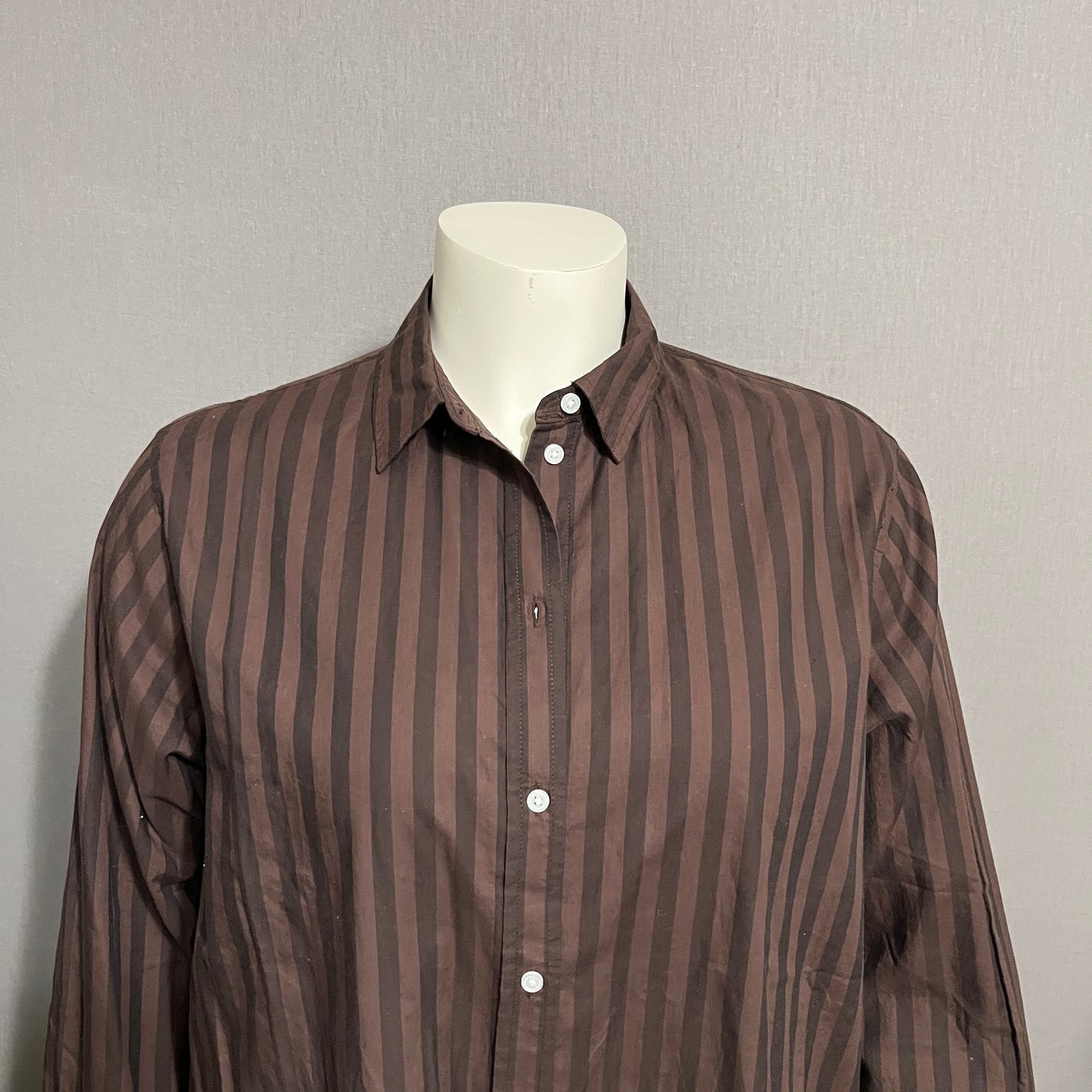 Everlane Brown Striped 100% Oversized Cotton Shirt Sz-16