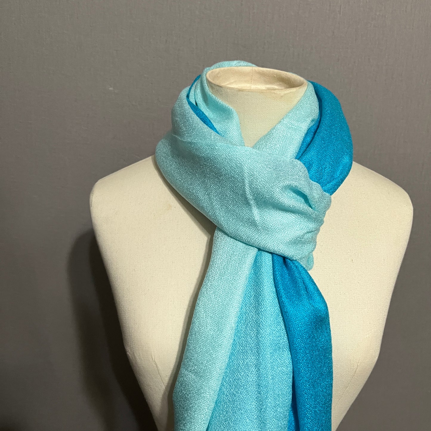 D&G Pashmina Blue and Aqua Ombré Women's Scarf